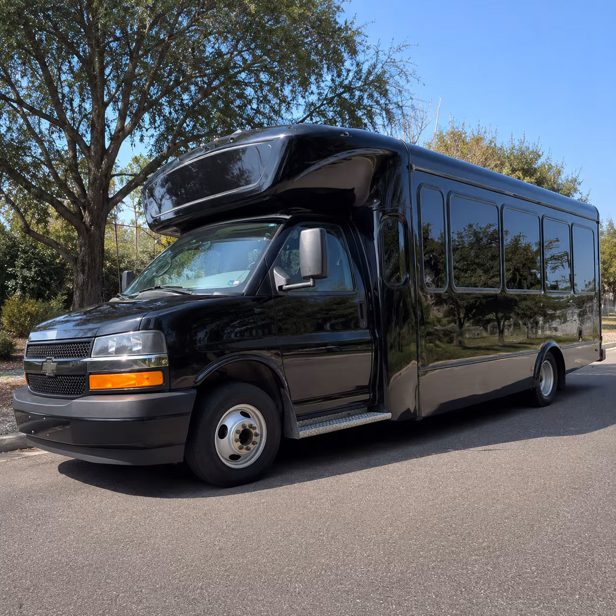 birthday party bus rental